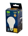 FOCO LED A60 9W