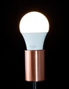 FOCO LED A60 9W