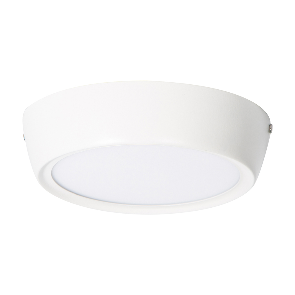Lámpara de Techo LED Sobreponer 17 cm Luz Blanca 6000K 12W