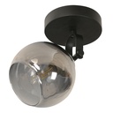 Lámpara de techo con acabado en negro y pantalla de vidrio 1 LUZ