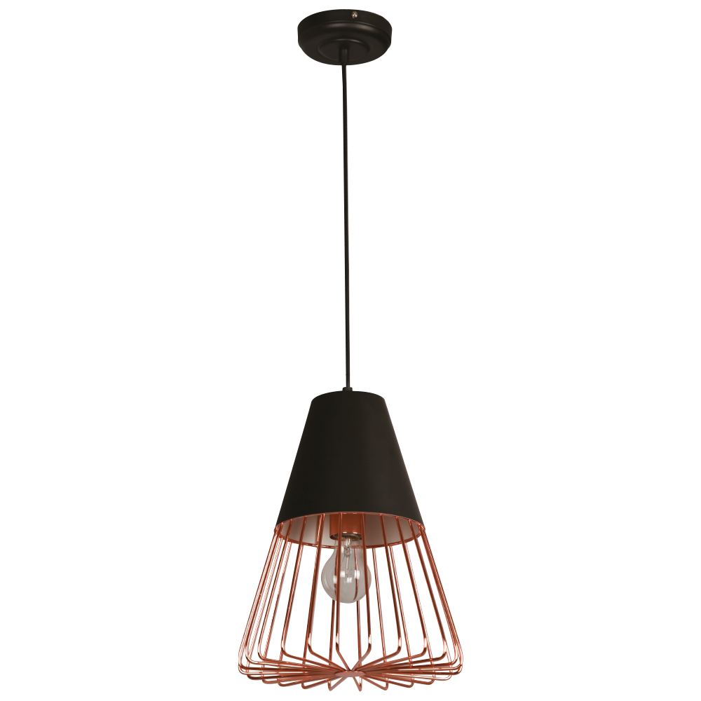 Lampara  De  Techo Negro 1L E27 60W