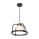 Lámpara Colgante Negro Bronce E27 40w 1 Luz