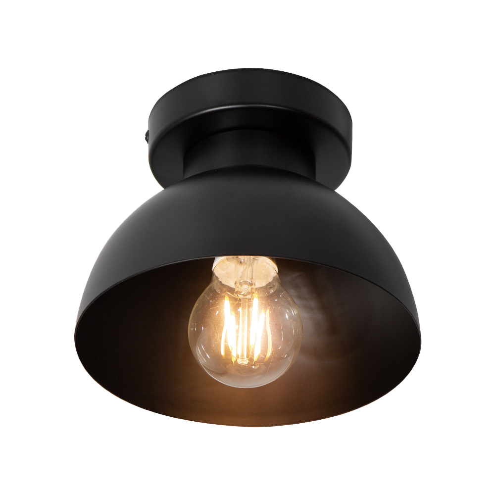 Lámpara de Techo Negro Mate 1 Luz  E27 60w